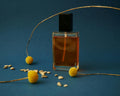 PREORDER 2026 Perfume Collection Volume 1