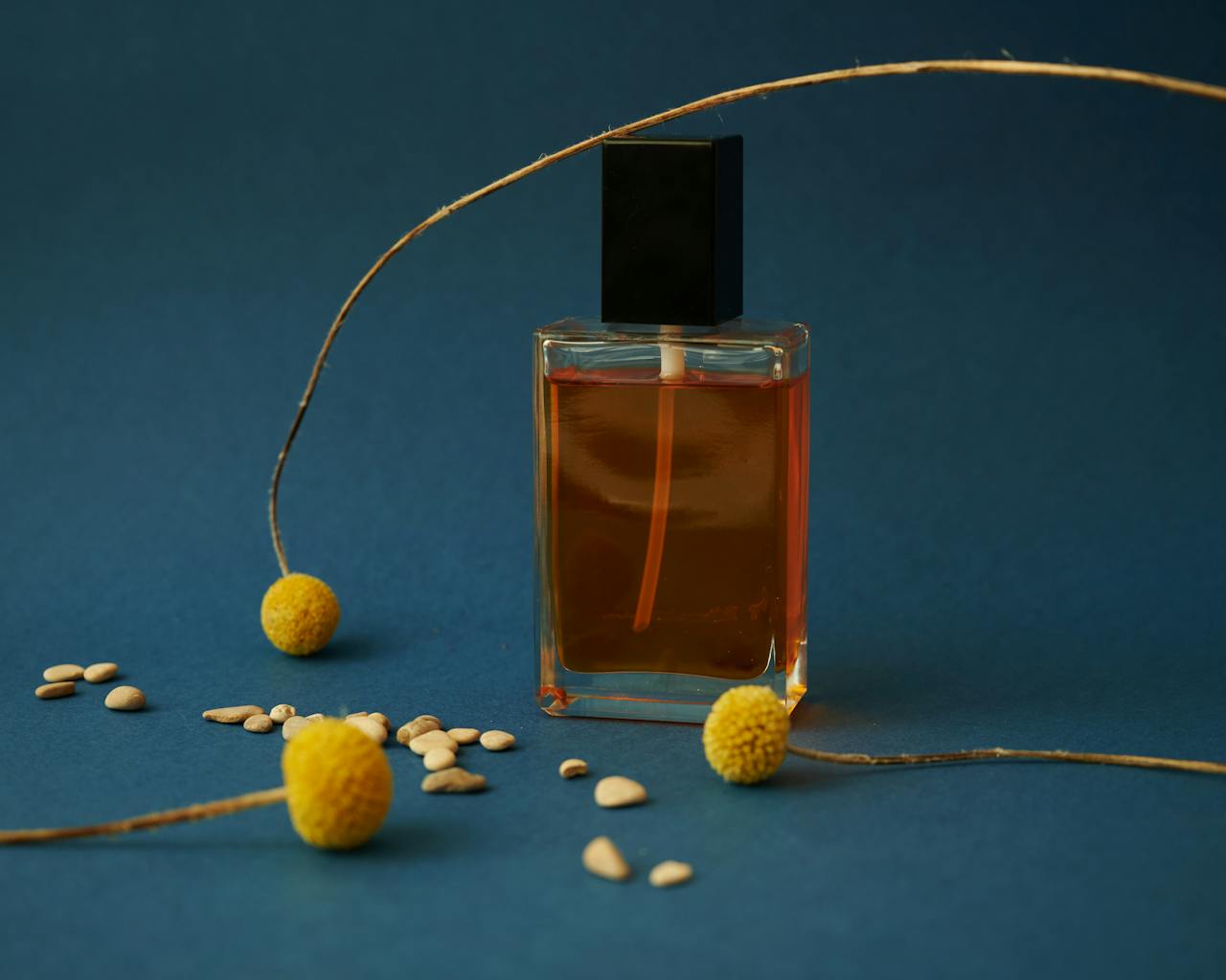 PREORDER 2026 Perfume Collection Volume 1